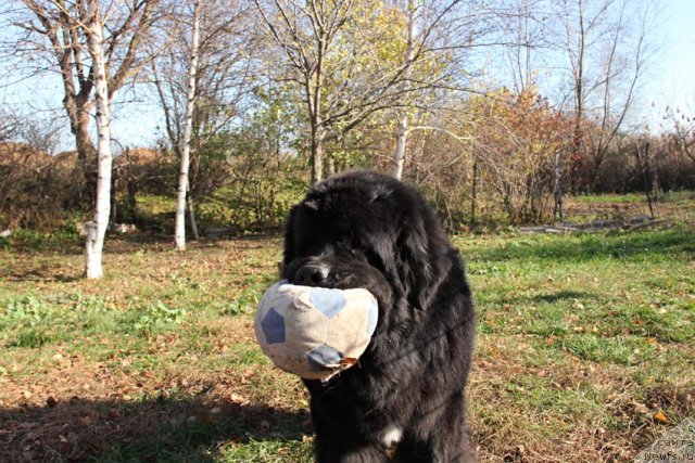 Фотография № 111199