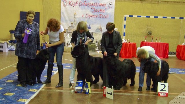 Фотография № 111209