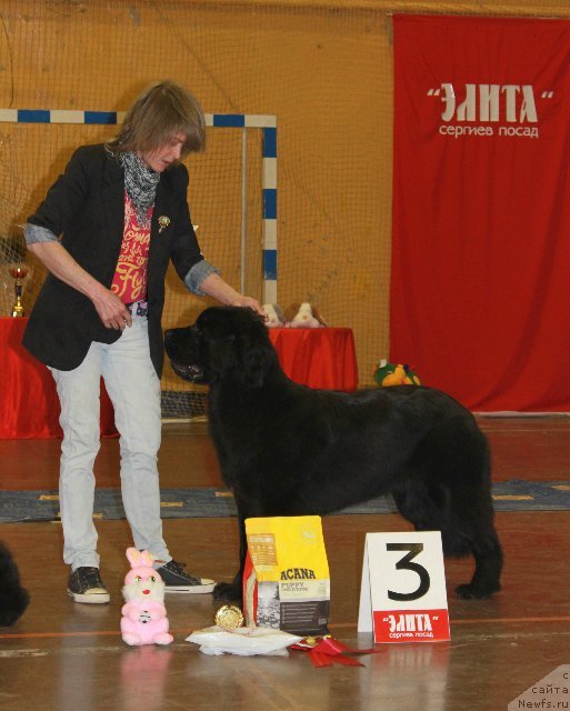 Фотография № 111216