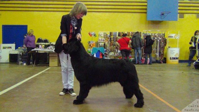 Фотография № 111220