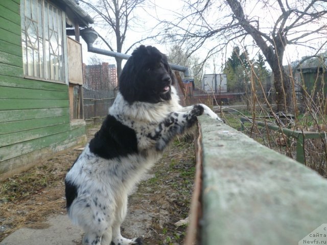 Фотография № 111286