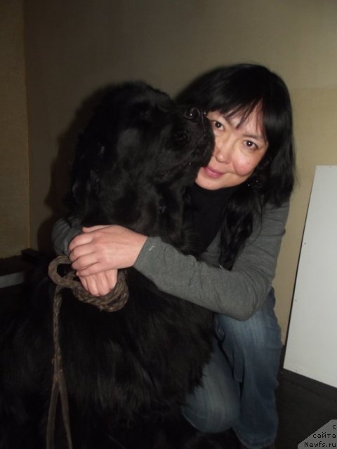 Фотография № 111294