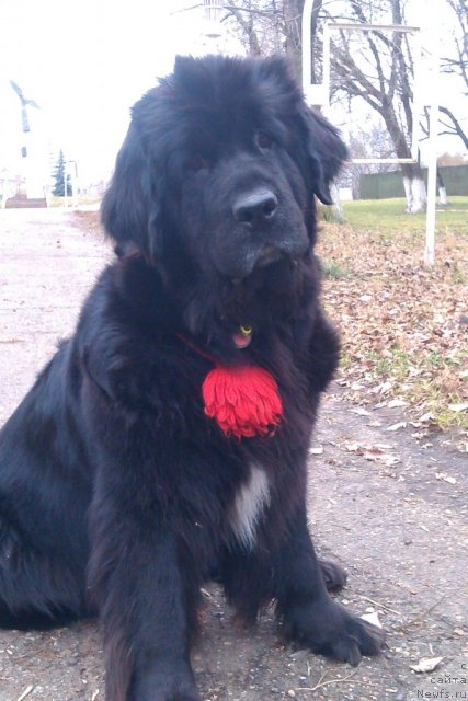 Фотография № 111364