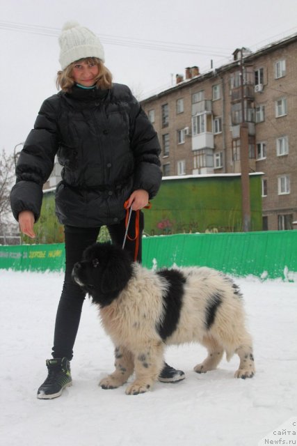 Фотография № 111483