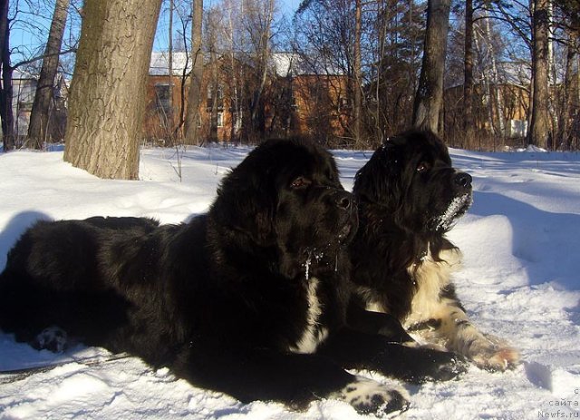 Фотография № 111502