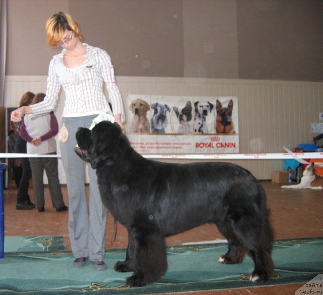 Фотография № 111559