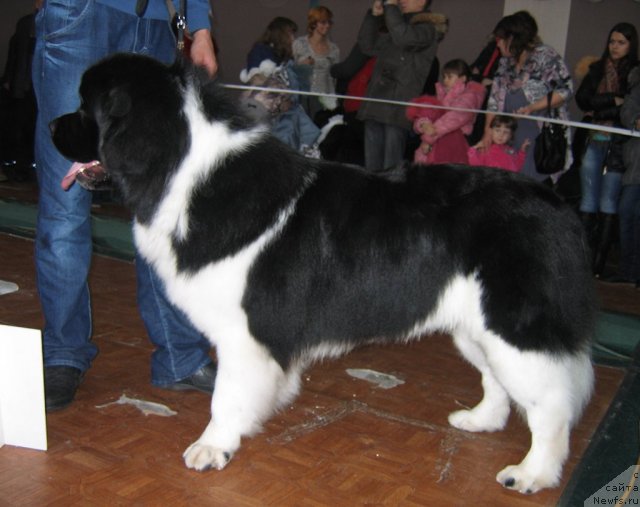 Фотография № 111560