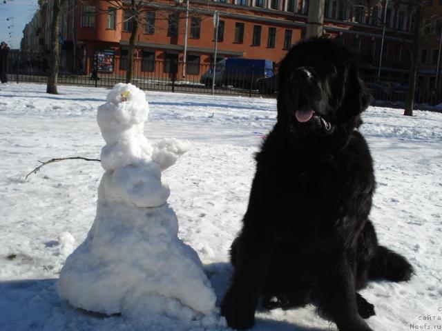 Фотография № 11157