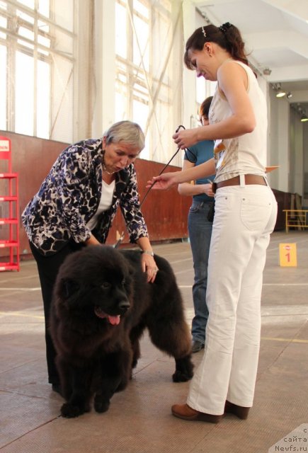 Фотография № 111577