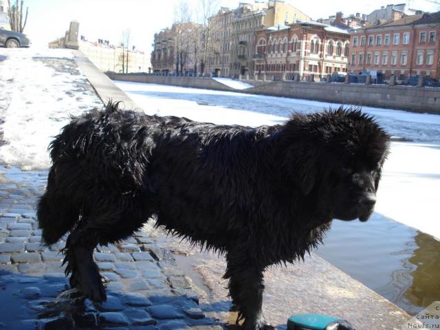 Фотография № 11158