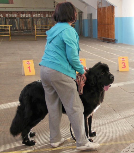 Фотография № 111580