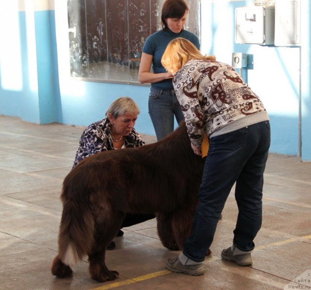 Фотография № 111581