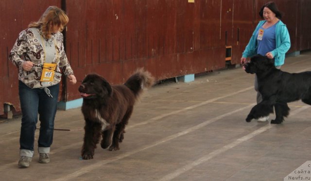 Фотография № 111582