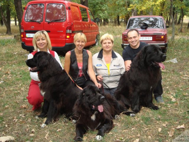 Фото: Baffi, Arna, Baxter