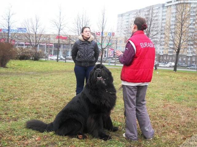 Фотография № 111594