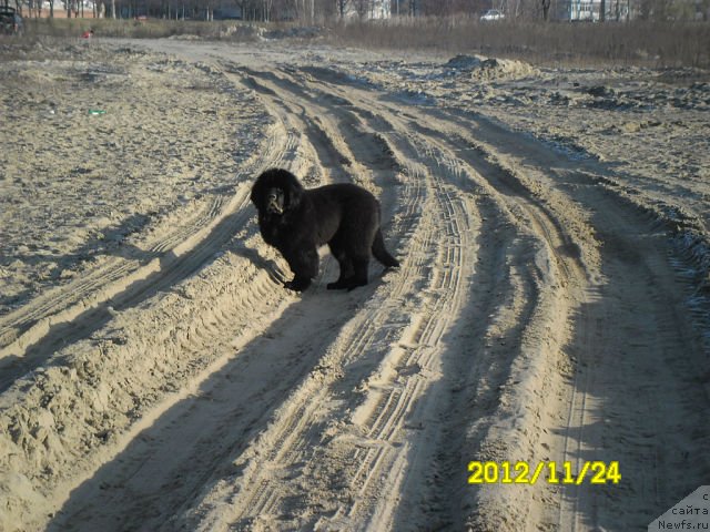 Фотография № 111597