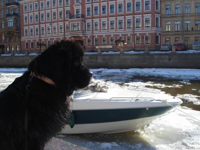 Фотография № 11160