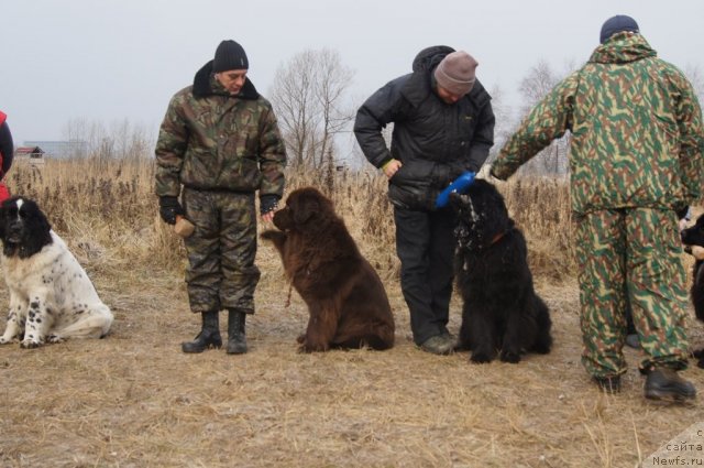 Фотография № 111609