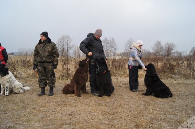 Фотография № 111614