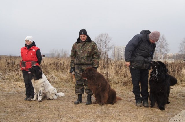 Фотография № 111615