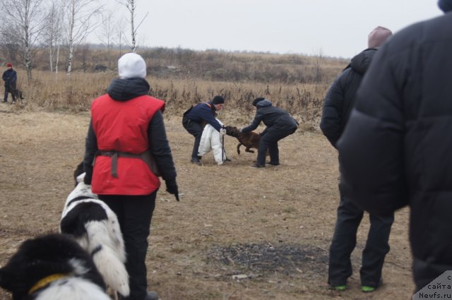 Фотография № 111617