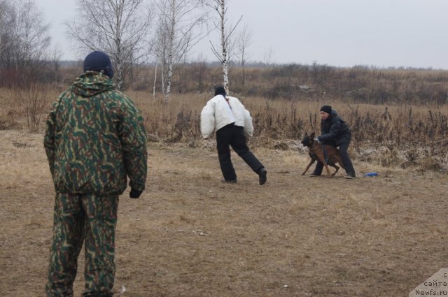 Фотография № 111618