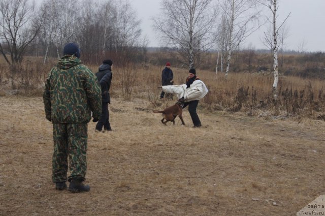 Фотография № 111621