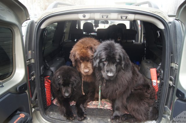 Фотография № 111622