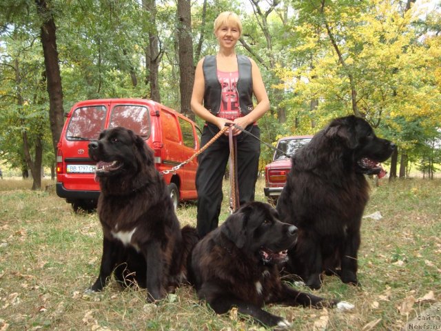 Фото: Baffi Arna [d11876] Baxter