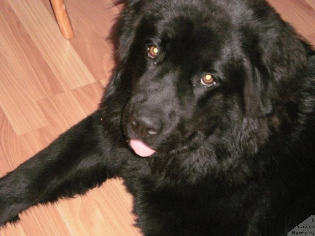 Фото: Ekaterina Polyakova (Екатерина Полякова)