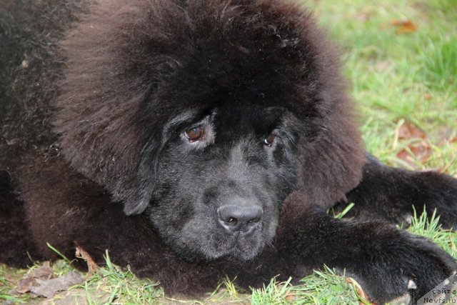 Фотография № 111752