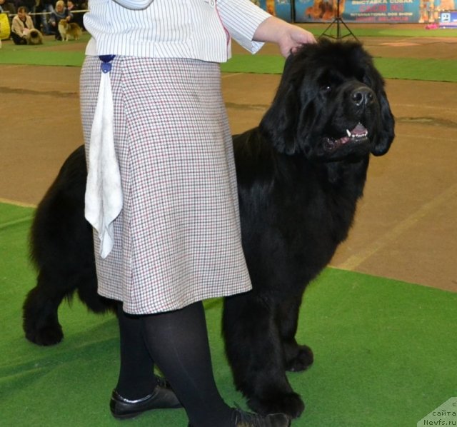 Фотография № 111793