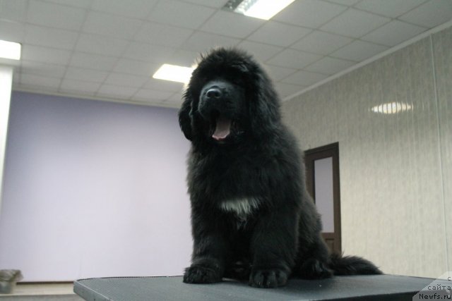 Фотография № 111806