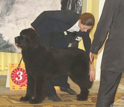 Фотография № 111827