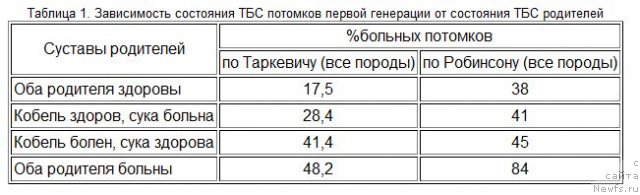 Фотография № 111832