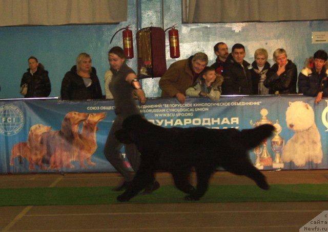 Фото: Rain Coast How Can I Fall, Natal'ya Dubovskaya (Наталья Дубовская)