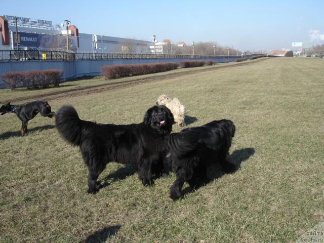 Фото: Джесса и Ваня