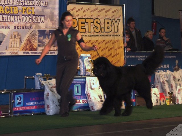 Фото: Rain Coast How Can I Fall, Natal'ya Dubovskaya (Наталья Дубовская)