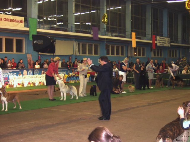Фото: Rain Coast How Can I Fall, Natal'ya Dubovskaya (Наталья Дубовская)