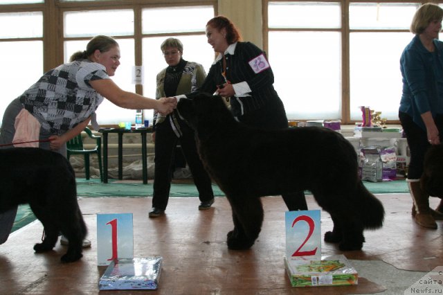 Фотография № 111920