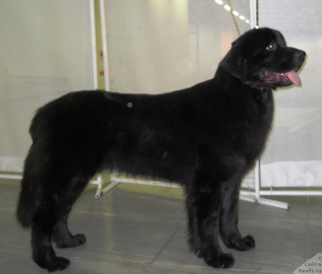 Фотография № 111992