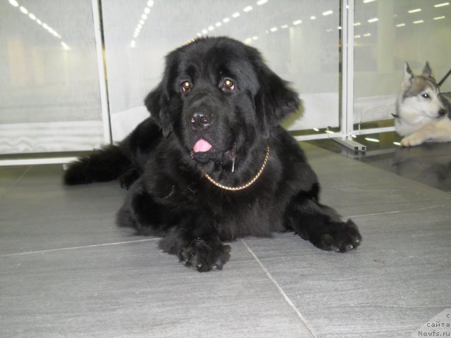 Фотография № 111994