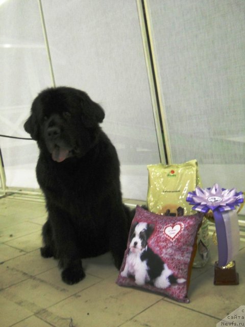 Фотография № 111996