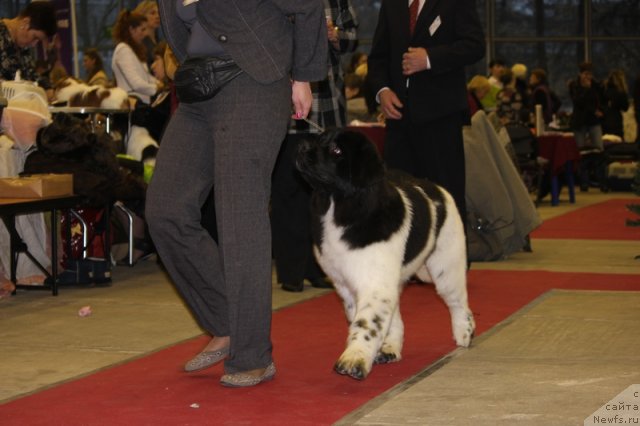 Фотография № 112009