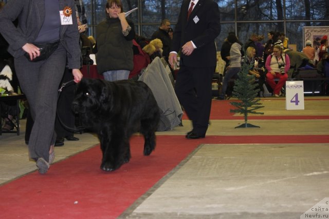 Фотография № 112014