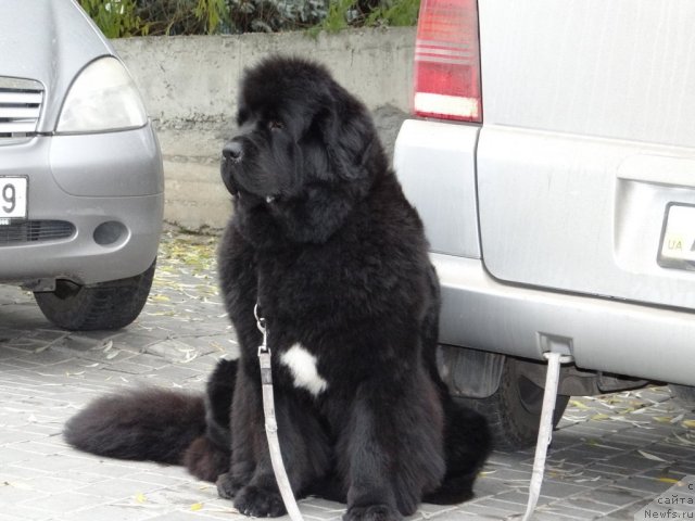 Фотография № 112067