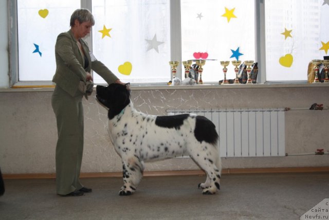 Фотография № 112070