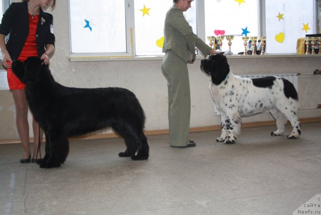 Фотография № 112072