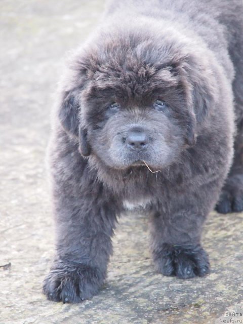 Фотография № 112082