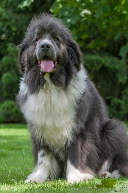 Фотография № 112083